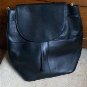 Cuyana Backpack Purse